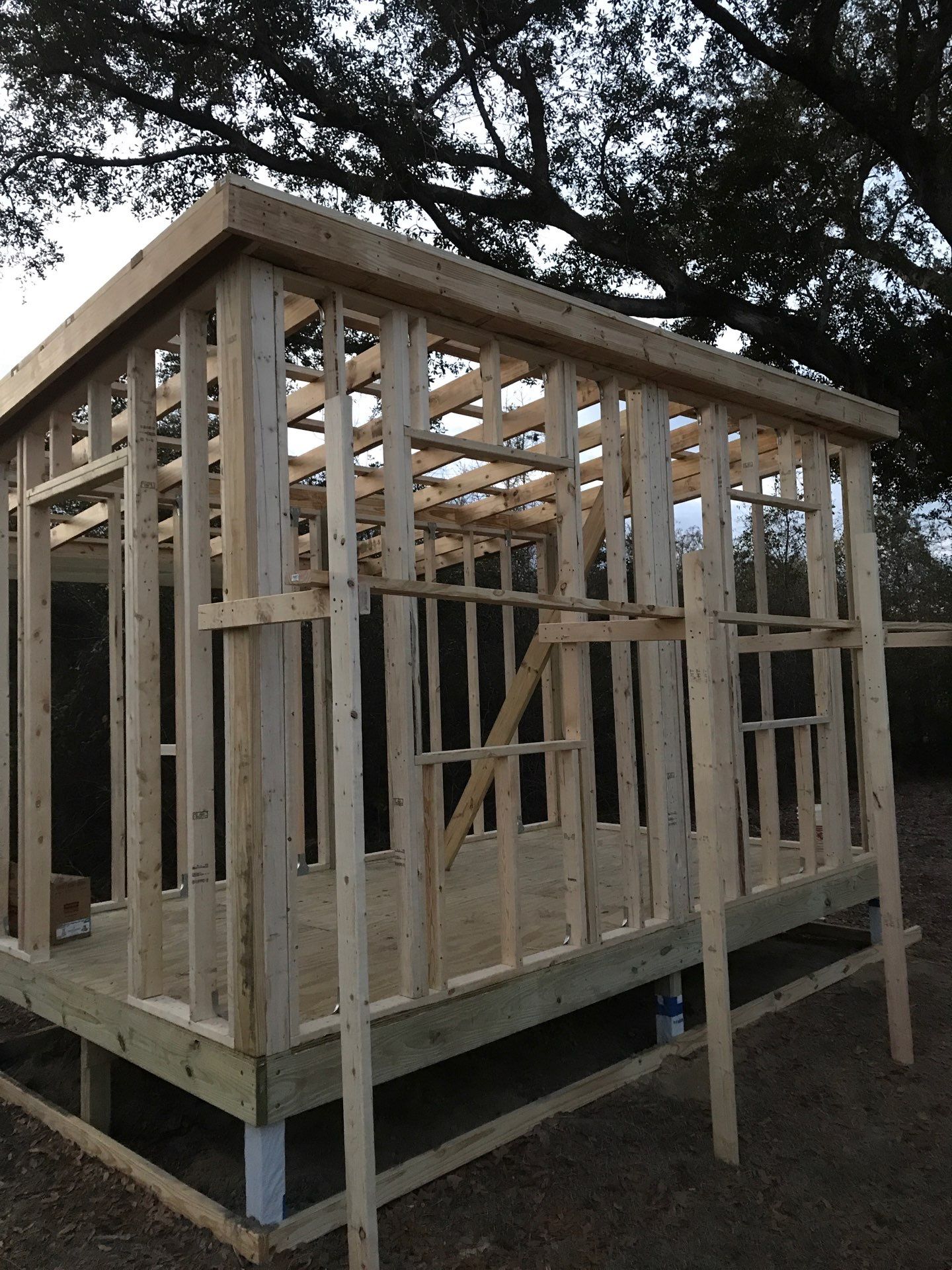 Small shed with exposed wall and roof framing
